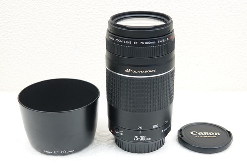Canon 300mm 5 - ef, 75-300mm