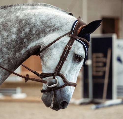 Antares precision noseband - precision, y