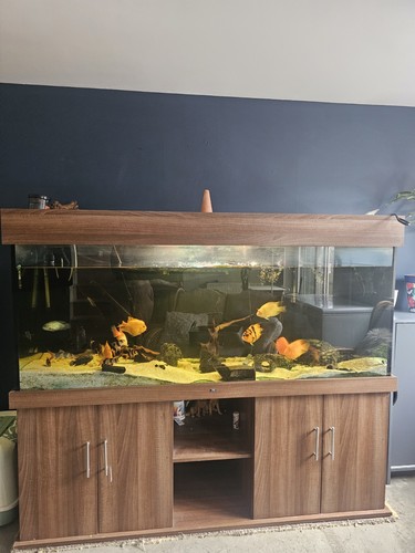 6ft aquarium fish - 6ft, aquarium/fish