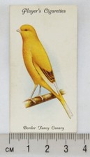 1933 John Player & Sons Aviary