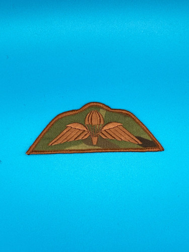 Bronze parachute wings mtp - parachute, on