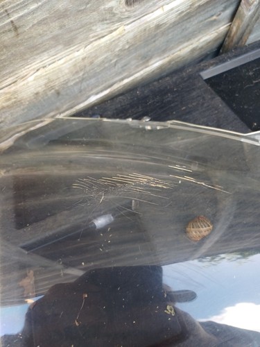 Bmw k1200s clear screen - clear,
