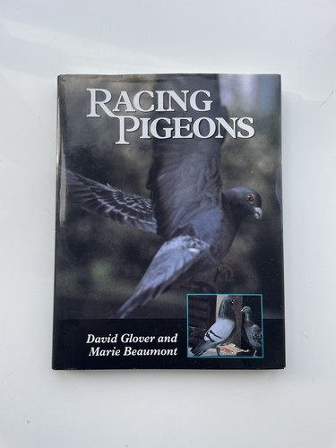 Racing pigeons david - racing,