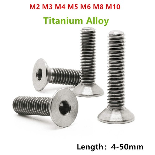 Ta2 titanium bolt - titanium,