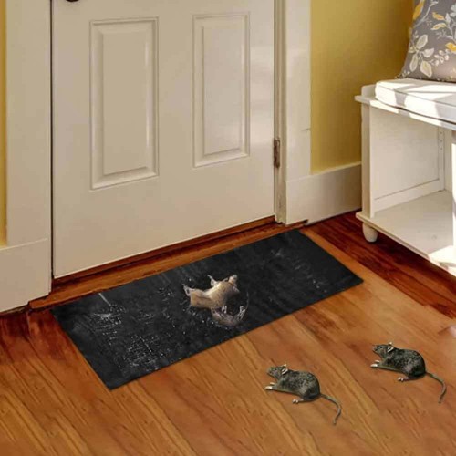 Large size mice - large, rodent