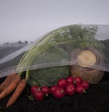 Ultrafine Veggiemesh ® Insect