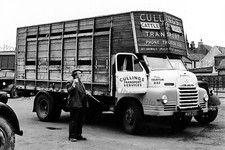 CV327 - Cullins Cattle & Horse