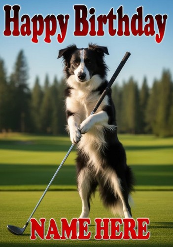 Border collie playing golf - collie,