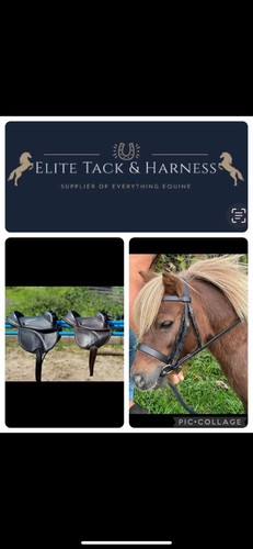 Mini shetland bridle - &,