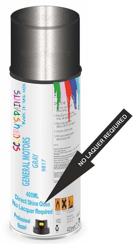 Aerosol spray paint - for, gmc