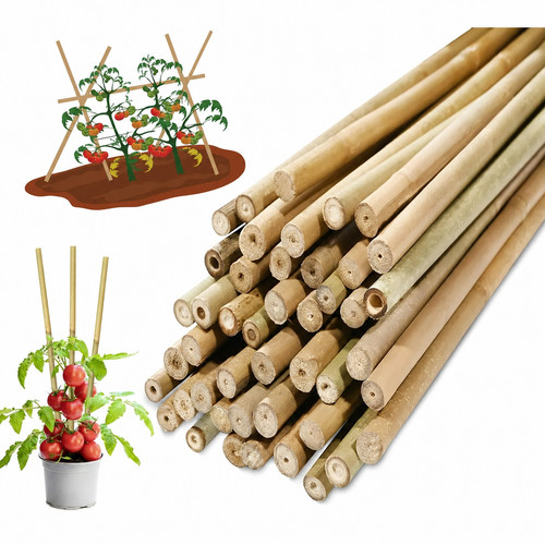 5ft 6ft bamboo garden - bamboo,