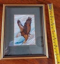 Bald Eagle Cash's Collection