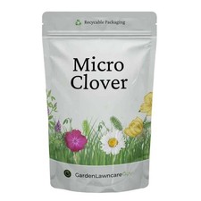 Micro Clover Seed UK - Small