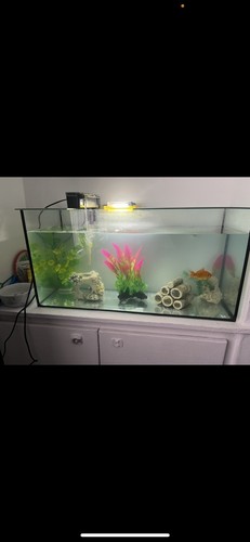Glass rectangular freshwater - freshwater, /