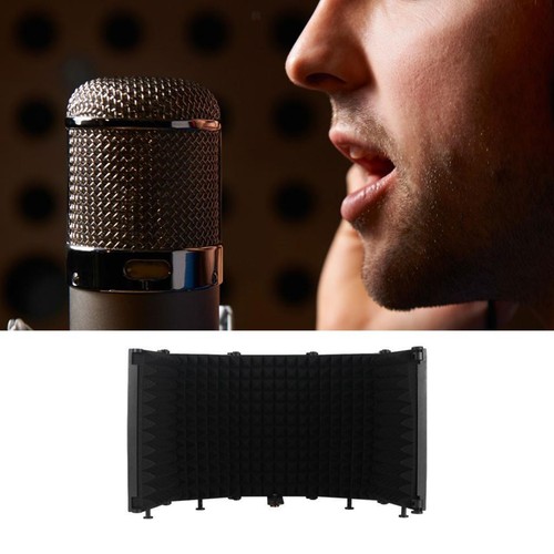 Adjustable microphone - adjustable,
