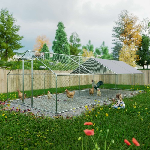 Chicken run cage walk pet - walk,