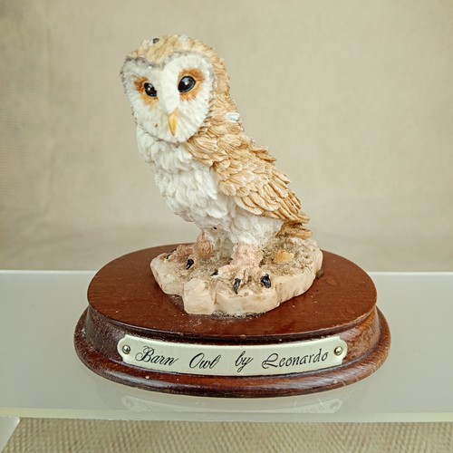 Small barn owl - ⭐,