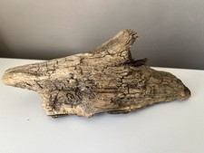 20cm driftwood log branch - driftwood,