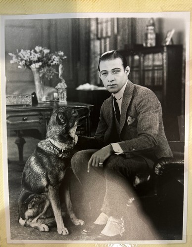 Rudolph valentino silent - valentino,