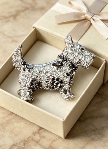 Terrier type dog scottie - type,