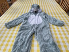 Squirrel From Ice Age Onepiece