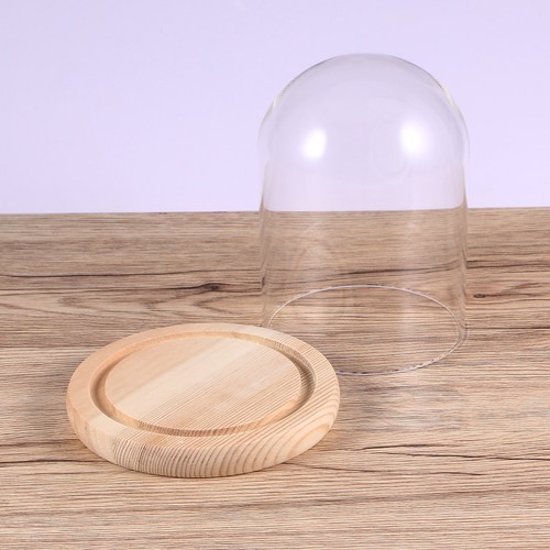 Glass dome cover - glass,