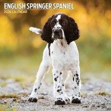 English Springer Spaniel 2026 Traditional Calendar