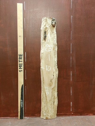 Elm board 89x15cm waney - 89x15cm, live