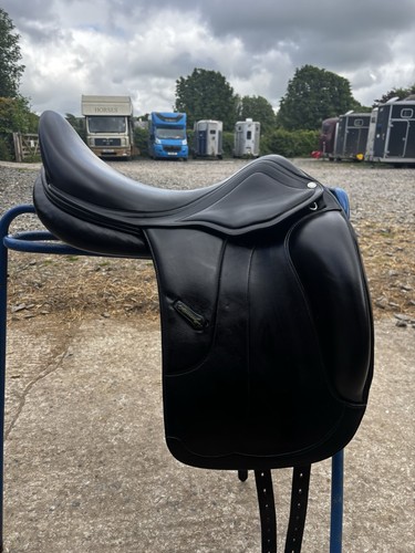 Amerigo vega sienna dressage - amerigo,