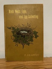 Birds’ Nests, Eggs, and Egg