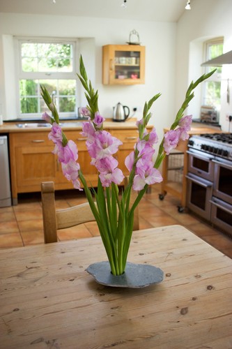 Round ikebana kenzan - round,