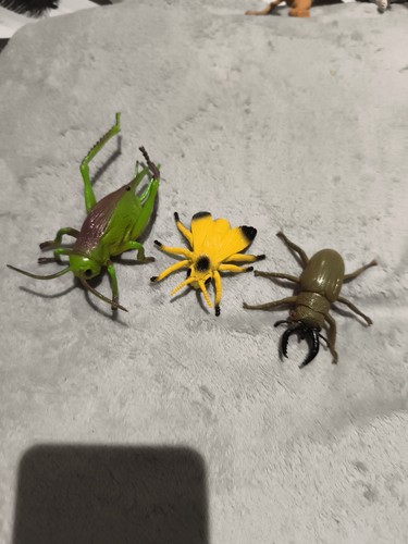 Insect toy set plastic - toy,