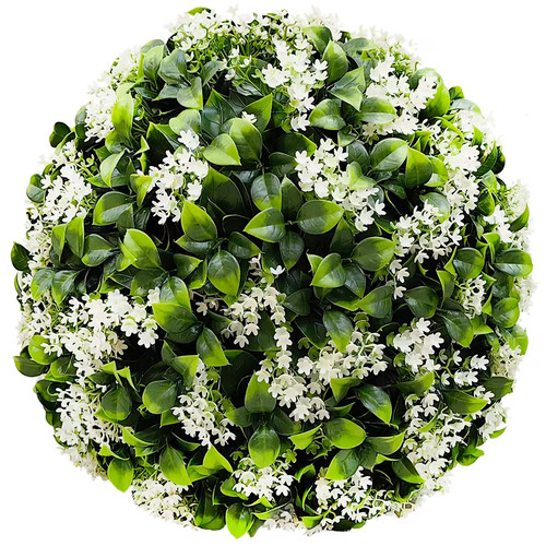 Gardenia star topiary - gardenia, +