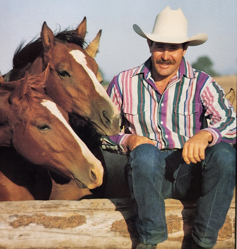 Natural horsemanship book - natural, pat