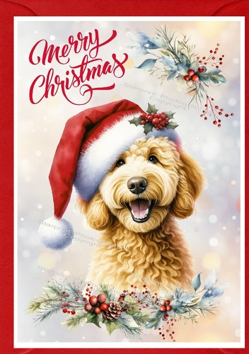 Labradoodle doodle dog a6 - labradoodle, /