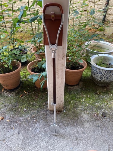 Phillip morris son gamebird - phillip,