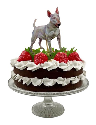 English bull terrier cake - bull,