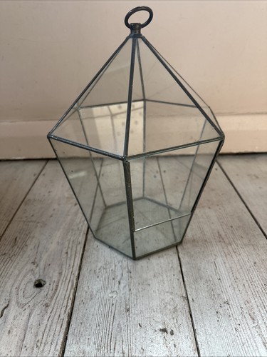 Terrarium beautiful hand - beautiful, made