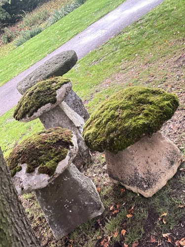 16th century staddle - century,