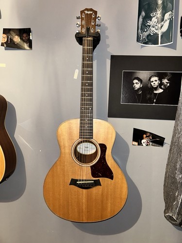 Taylor mini acoustic - taylor, gs