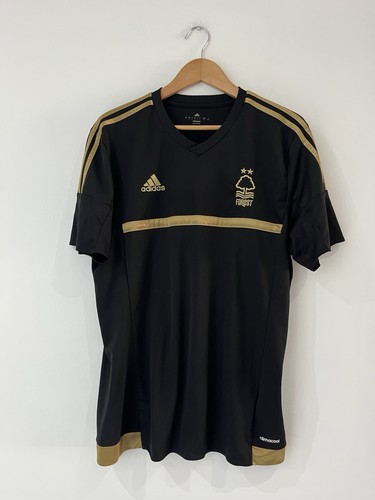 Nottingham forest 2015 - nottingham, 2015/16