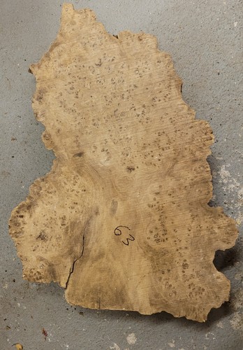 Timber scottish burr elm - timber,