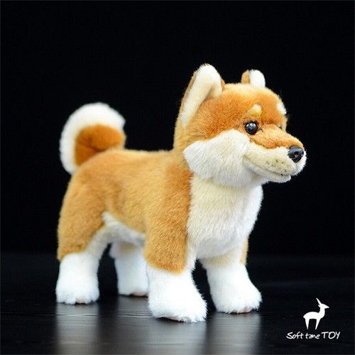 Simulation japanese akita - simulation,