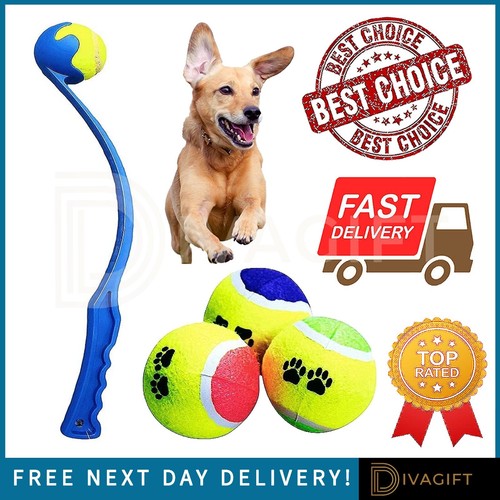 Large 50cm dog - 50cm, ball