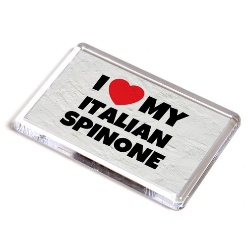 Fridge magnet love - magnet,