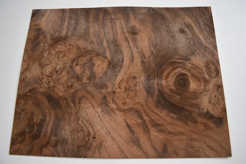 Walnut burr burl - /,
