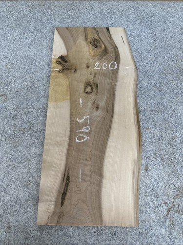 Elm live waney edge slab - live/,