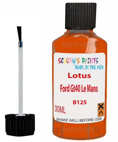 Paint for lotus - lotus, models