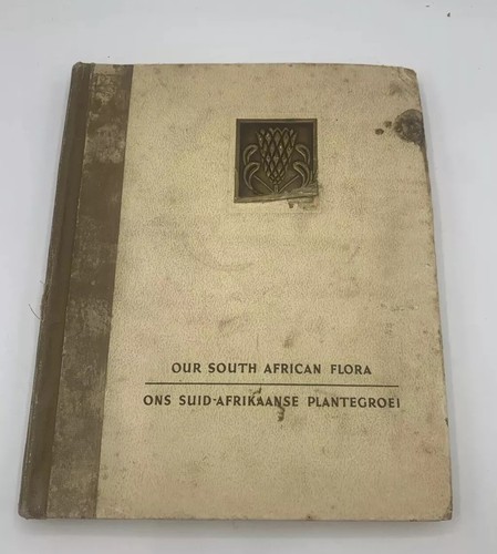 Our south african flora - south,