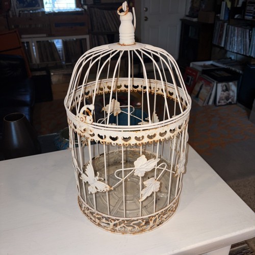Metal bird cage - bird, hanging